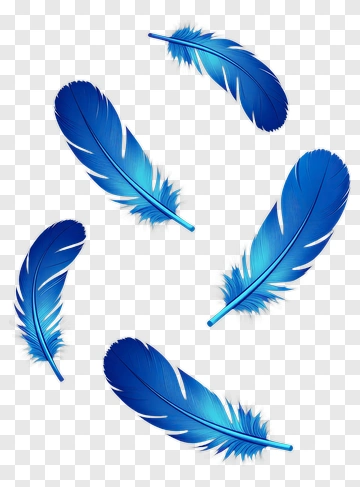 Blue Feathers PNG