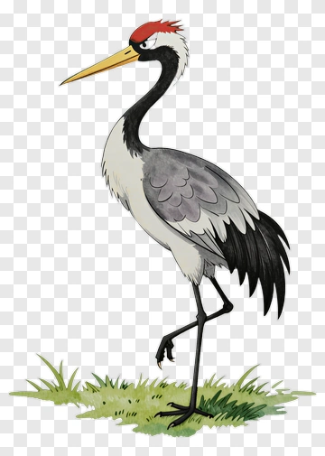 Cartoon Crane Standing On Grass PNG