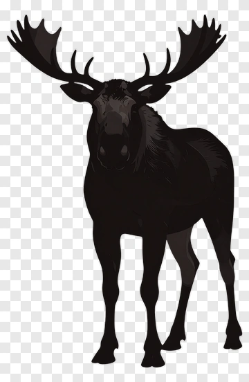 Black Moose Silhouette PNG