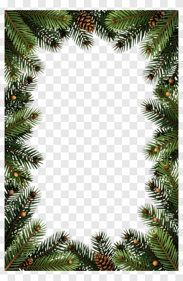 Pine Tree Frame With Pine Cones PNG