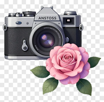 Vintage Camera With Pink Rose PNG