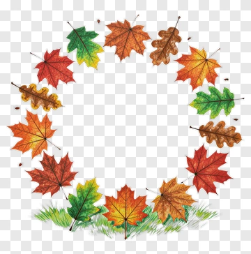 Colorful Leaf Wreath PNG