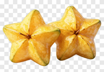 Starfruit Composition PNG
