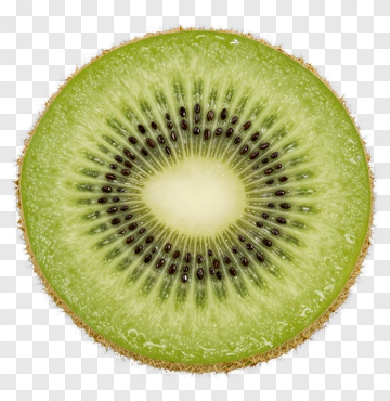Sliced Kiwi Fruit PNG