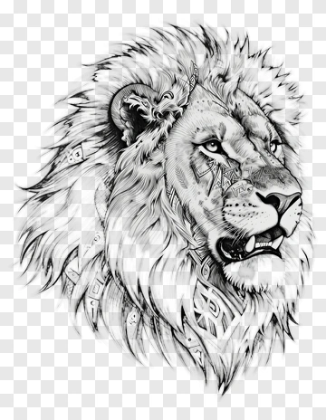 Detailed Lion Illustration PNG