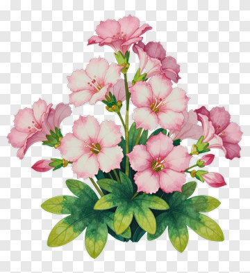 Flower Bouquet With Pink Blooms PNG