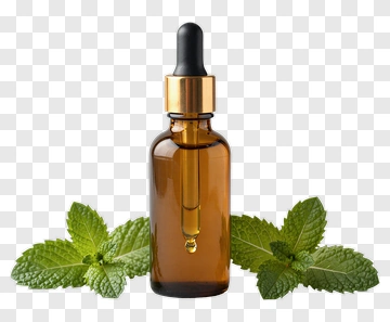 Essential Oil Bottle With Mint Leaves PNG
