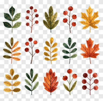 Colorful Leaves And Berries Arrangement PNG