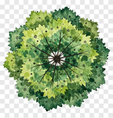 Watercolor Green Leaf Arrangement PNG
