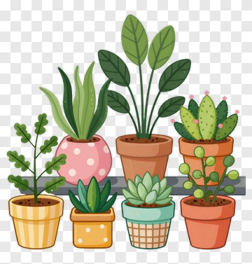 Colorful Potted Plants On A Shelf PNG