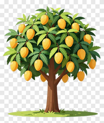 Mango Tree With Ripe Fruit PNG
