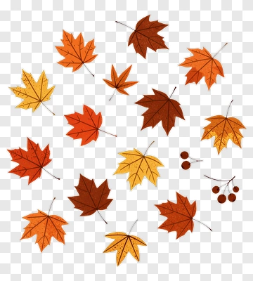 Colorful Autumn Leaves PNG