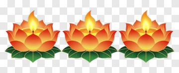 Colorful Lotus Flowers With Flames PNG