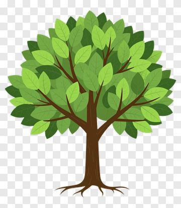 Colorful Tree PNG