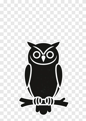Black Owl Sitting On A Branch PNG