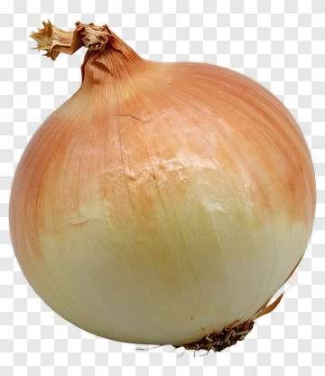 Onion PNG