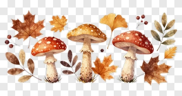 Watercolor Mushrooms And Autumn Leaves PNG