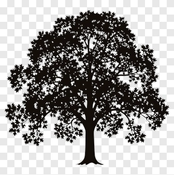 Silhouette Tree PNG