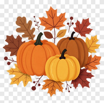 Colorful Pumpkin Arrangement With Autumn Leaves PNG