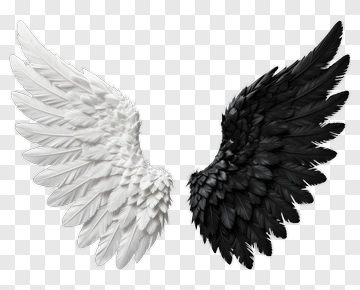Black And White Angel Wings PNG