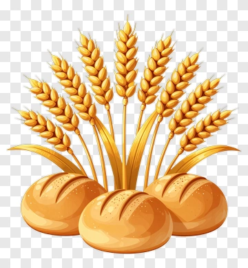 Wheat Ears And Bread Rolls PNG