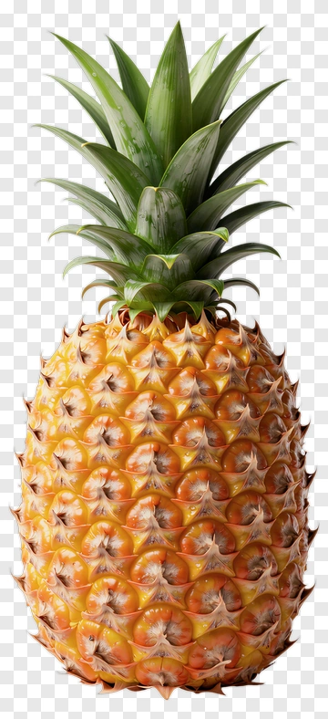 Fresh Pineapple PNG