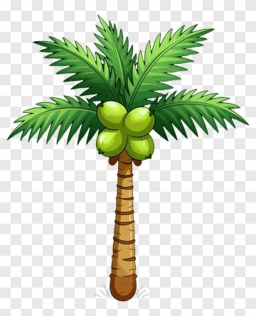 Cartoon Palm Tree PNG