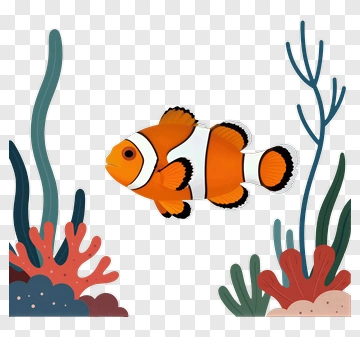 Colorful Clownfish Swimming Among Coral PNG