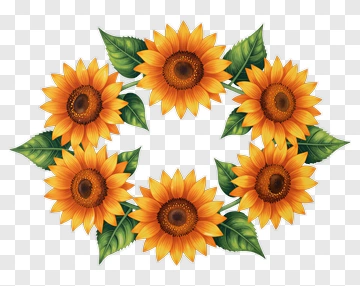 Sunflower Wreath PNG