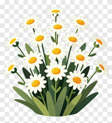 Colorful Daisy Flower Bouquet PNG