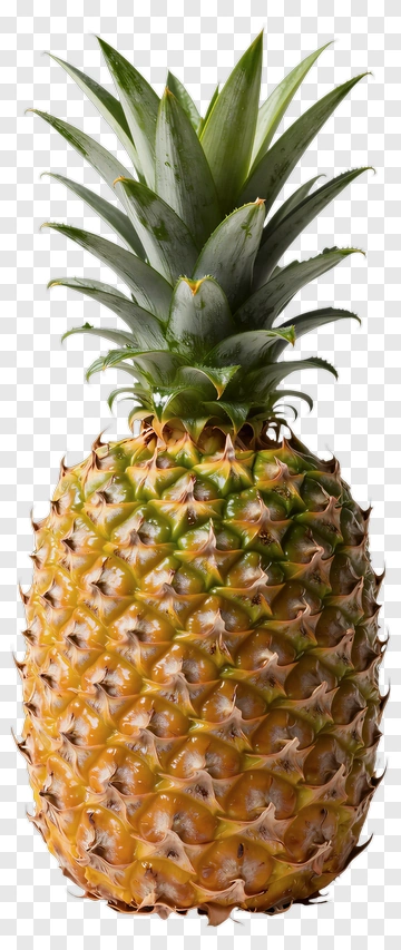 Pineapple PNG