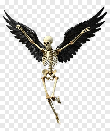Skeleton With Black Wings PNG