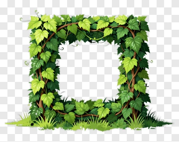Vine Frame With Green Leaves PNG