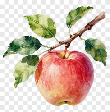 Watercolor Apple With Leaves PNG