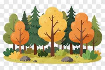 Colorful Forest With Autumn Trees PNG