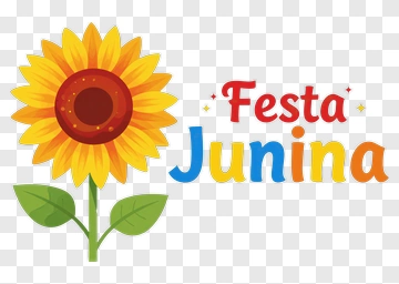 Sunflower With Festa Junina Text PNG