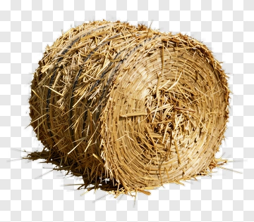 Hay Bale PNG