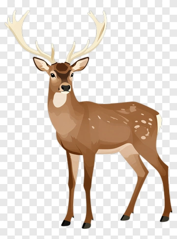 Cartoon Deer With Antlers PNG