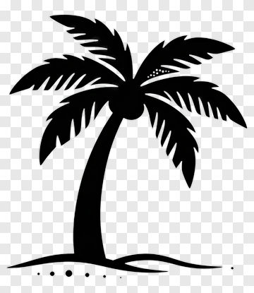 Silhouette Palm Tree PNG