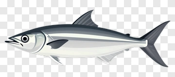 Cartoon Fish PNG
