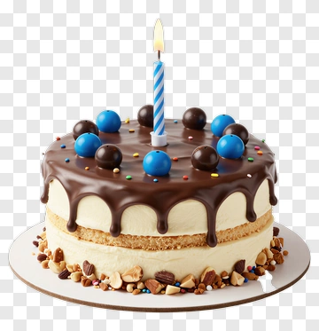 Birthday Cake With Chocolate Icing And Candle PNG