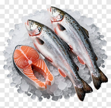Fresh Salmon And Whole Fish On Ice PNG