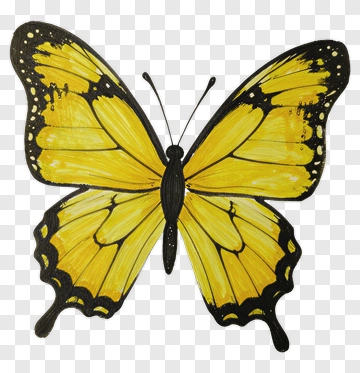 Yellow Butterfly PNG