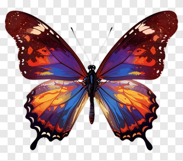Colorful Butterfly PNG
