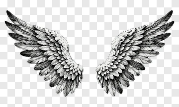 Detailed Black And White Angel Wings PNG