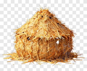 Straw Hut PNG