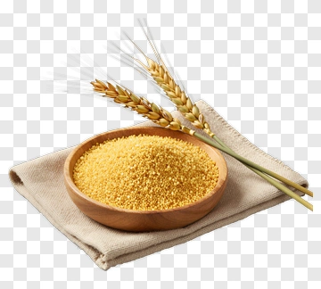 Bowl Of Couscous With Wheat Stalks PNG