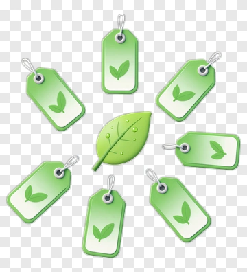 Green Leaf With Tags PNG