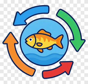 Colorful Fish In A Circular Flow Diagram PNG