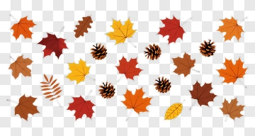 Colorful Autumn Leaves And Pine Cones PNG